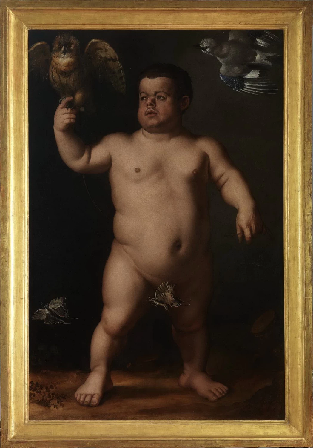 103-Ritratto di Dwarf Morgante-fronte-Galleria Palatina (Palazzo Pitti), Florence 